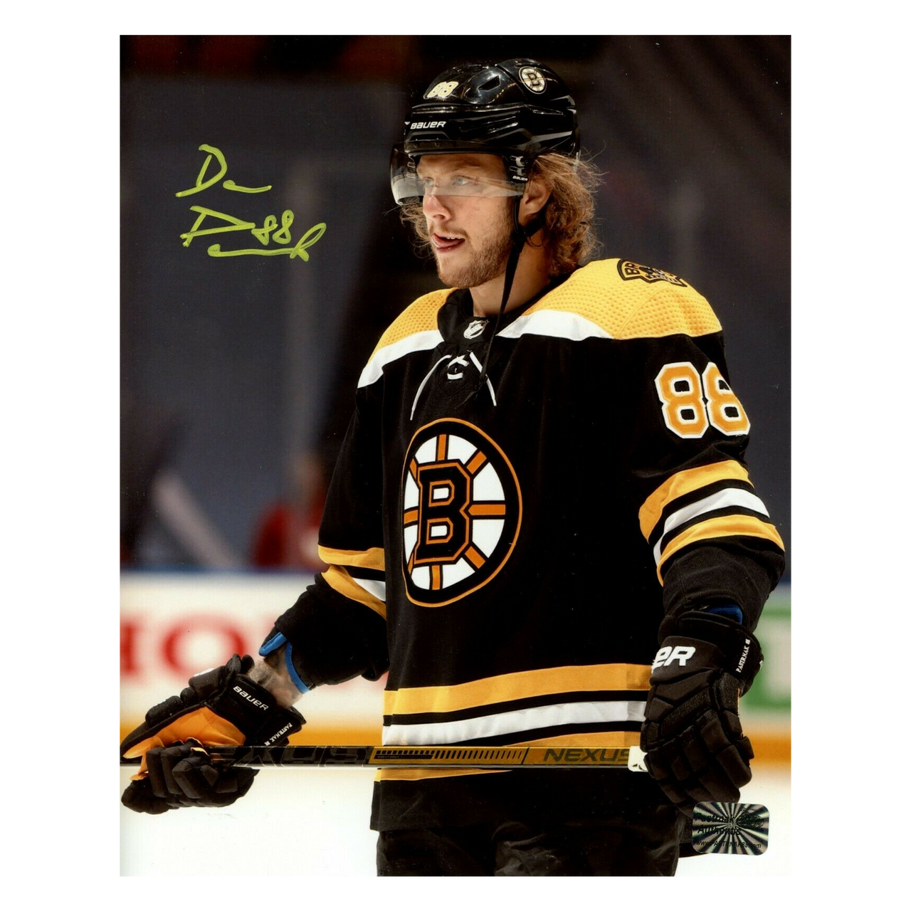 David Pastrnak Boston Bruins Signed 12" Jersey Number 8