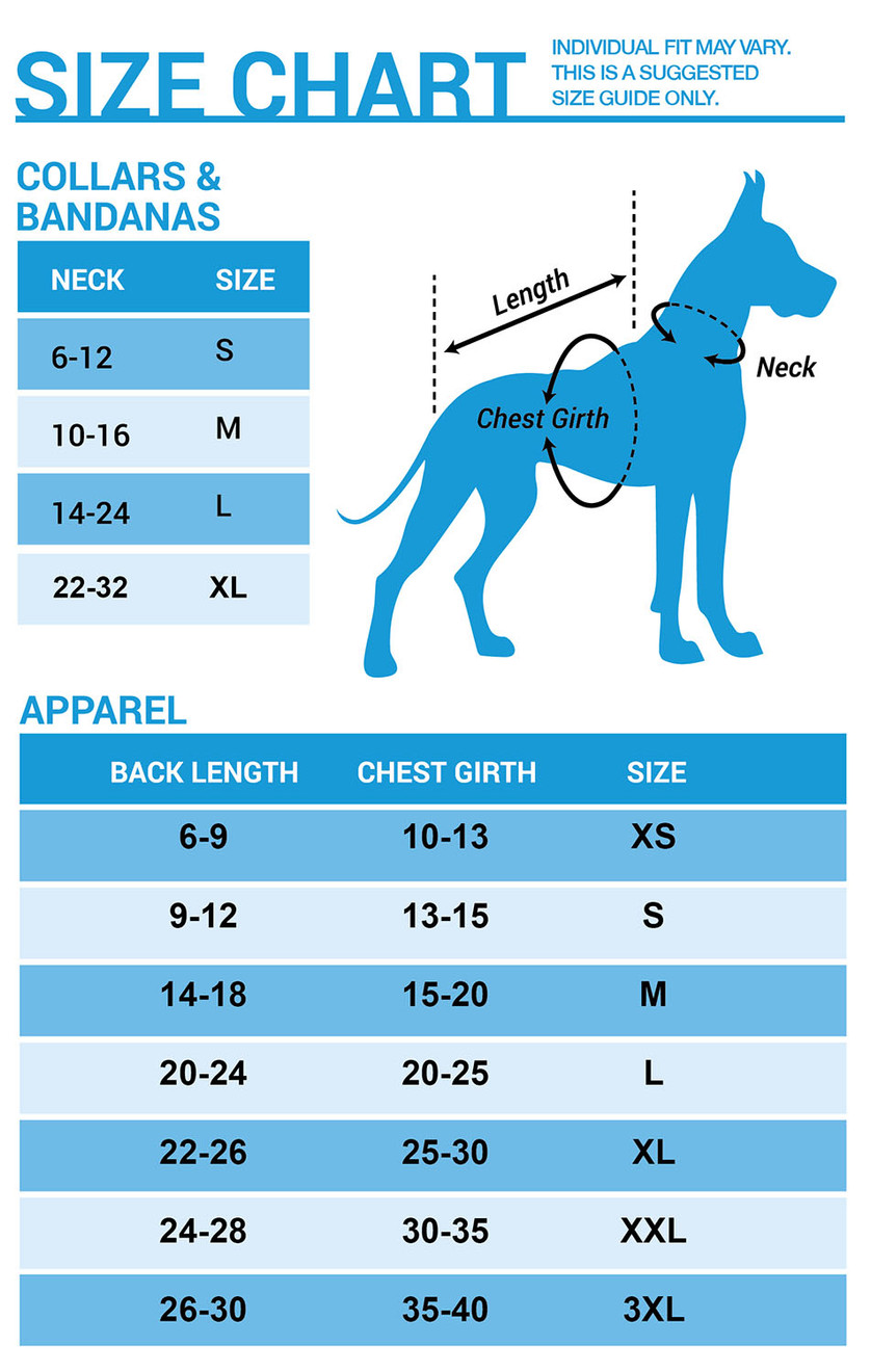Bruins dog top sweater