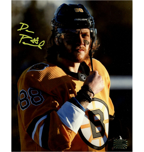 David Pastrnak Autograph Photo Slapshot 11x14 - New England Picture