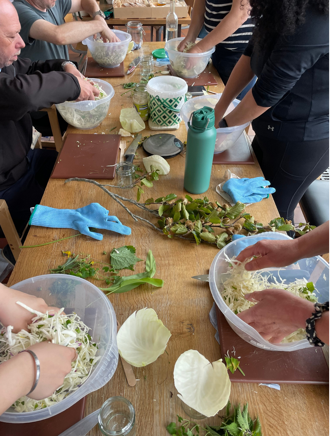 Forage and ferment workshop
