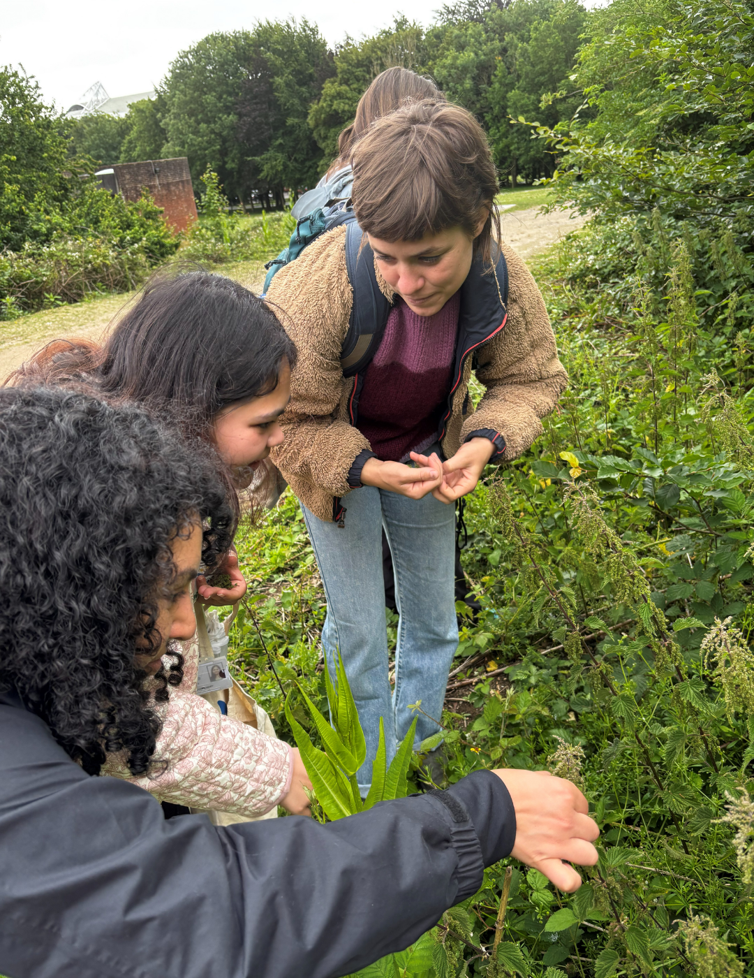 Wildling forage and ferment experience