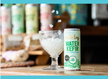 Wildling Lime and Mint Water Kefir with a glass of ice in The Potion Shed