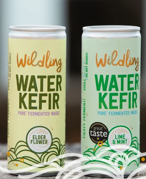 Wildling Taster Case with Lime and Mint and Lemon and Elderflower Water Kefir