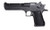 Desert Eagle Mark XIX 44 Rem Mag CA