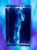 Pets, Anniversary or Memorials 3D Rectangle Shaped Crystal - several sizes and suitable for any photo