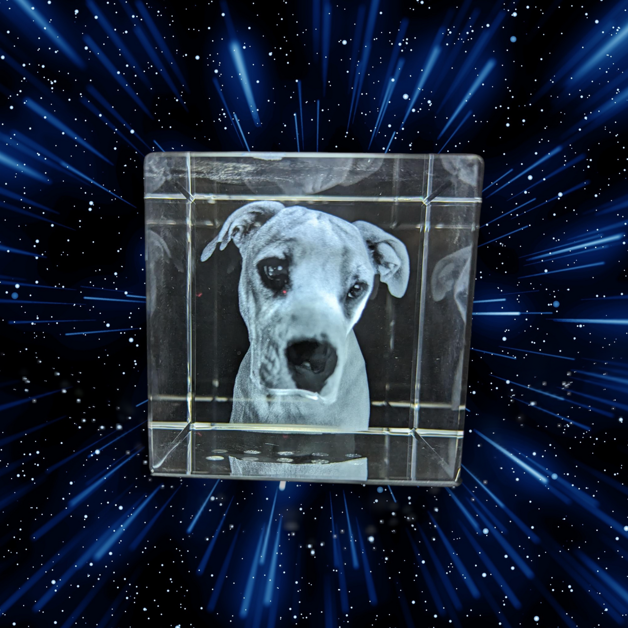 Memorial to a beautiful dog in a big 3D Cube shaped crystal 