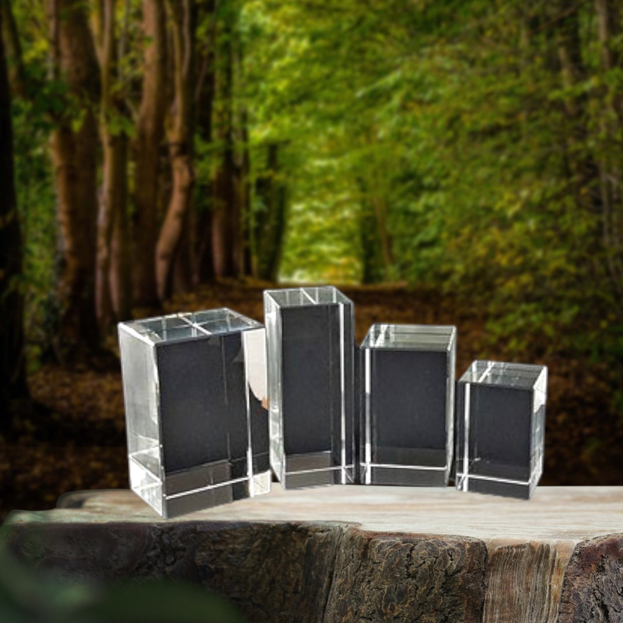Pets, Anniversary or Memorials 3D Rectangle Shaped Crystal - several sizes and suitable for any photo
