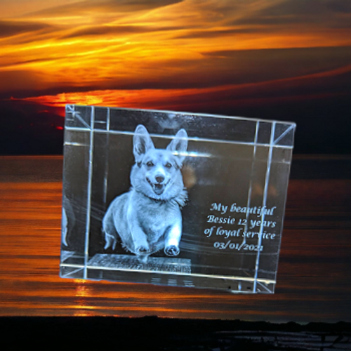 2D photo of a happy looking corgi dog 2D photo of a happy looking corgi dog