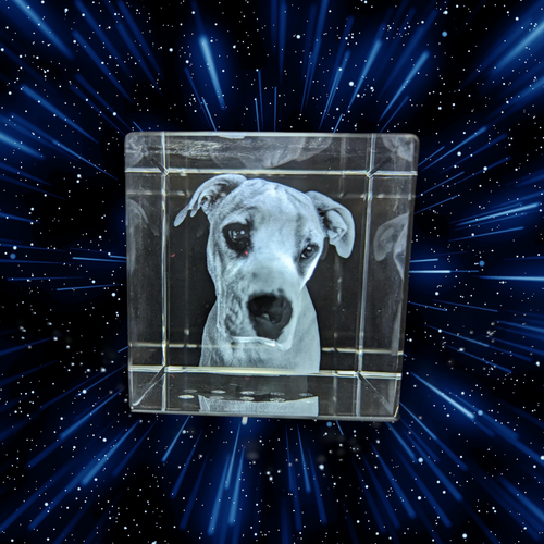 Memorial to a beautiful dog in a big 3D Cube shaped crystal