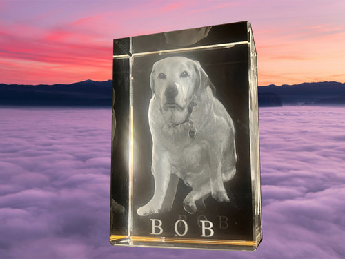 Bob in the clouds