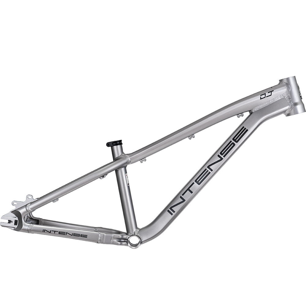 2025 Intense DJ Frame Titanium Gray | Revolutionbikeshop.com