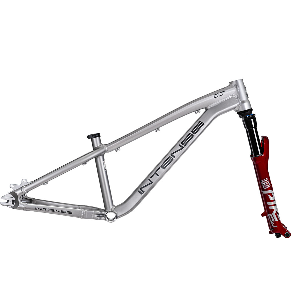 2025 Intense DJ Frame Titanium Gray | Revolutionbikeshop.com