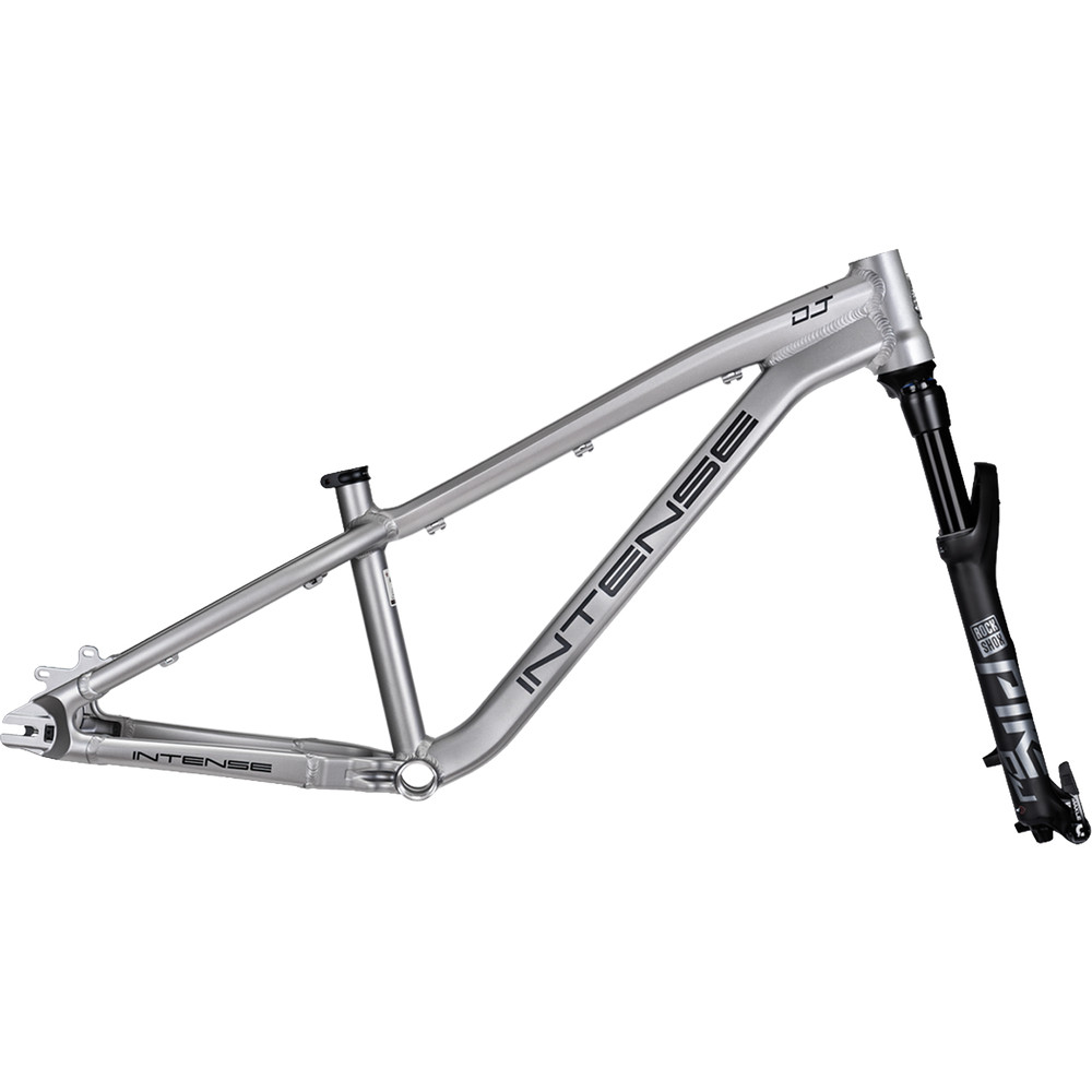 2025 Intense DJ Frame Titanium Gray | Revolutionbikeshop.com