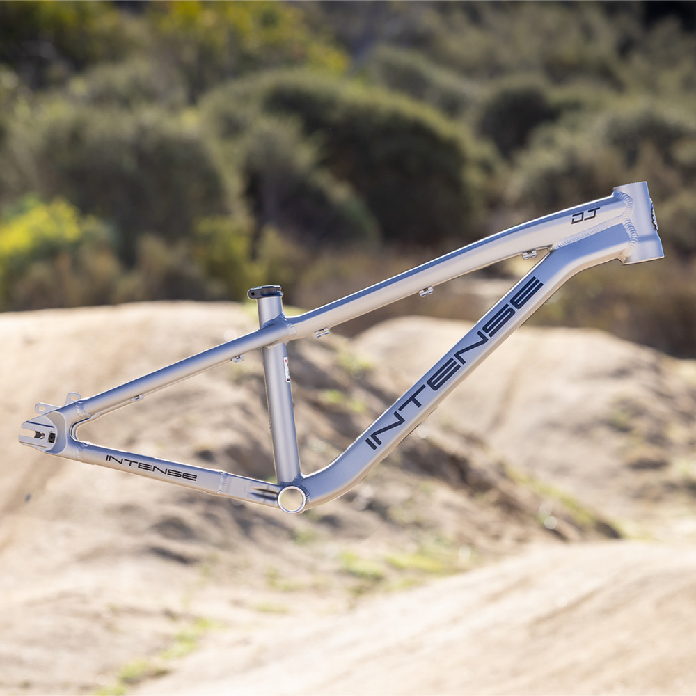 2025 Intense DJ Frame Titanium Gray | Revolutionbikeshop.com