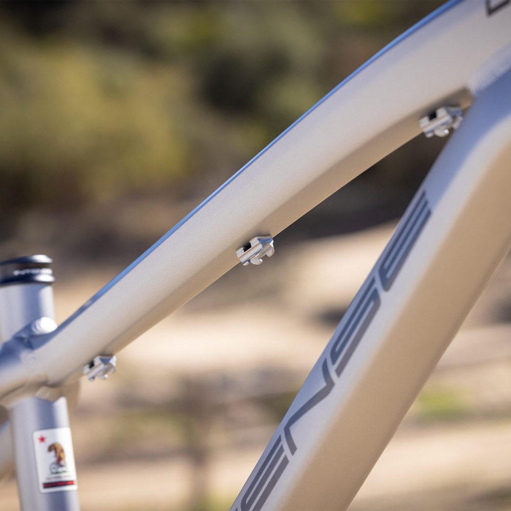 2025 Intense DJ Frame Titanium Gray | Revolutionbikeshop.com