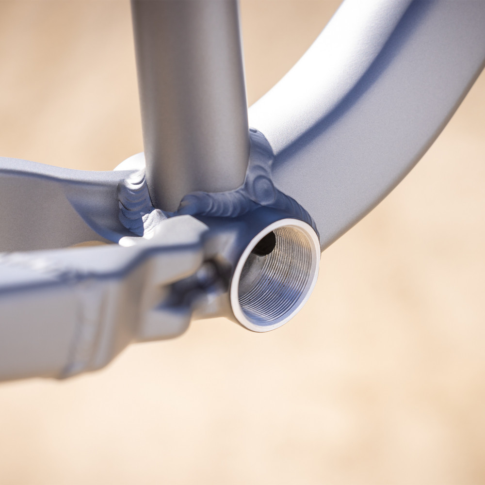 2025 Intense DJ Frame Titanium Gray | Revolutionbikeshop.com