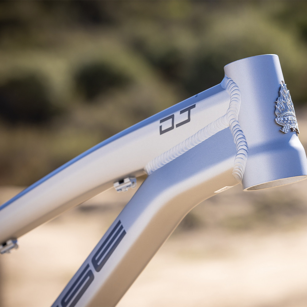 2025 Intense DJ Frame Titanium Gray | Revolutionbikeshop.com