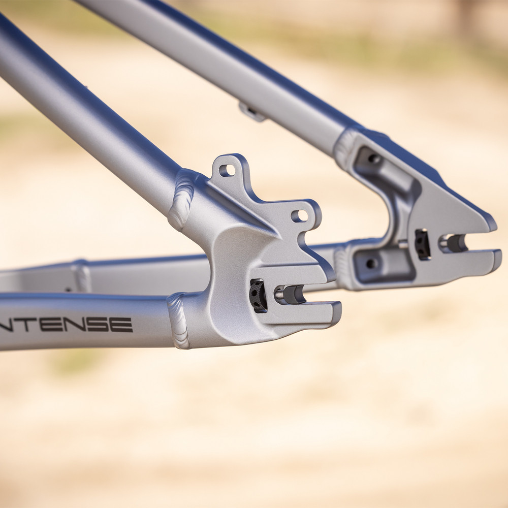 2025 Intense DJ Frame Titanium Gray | Revolutionbikeshop.com