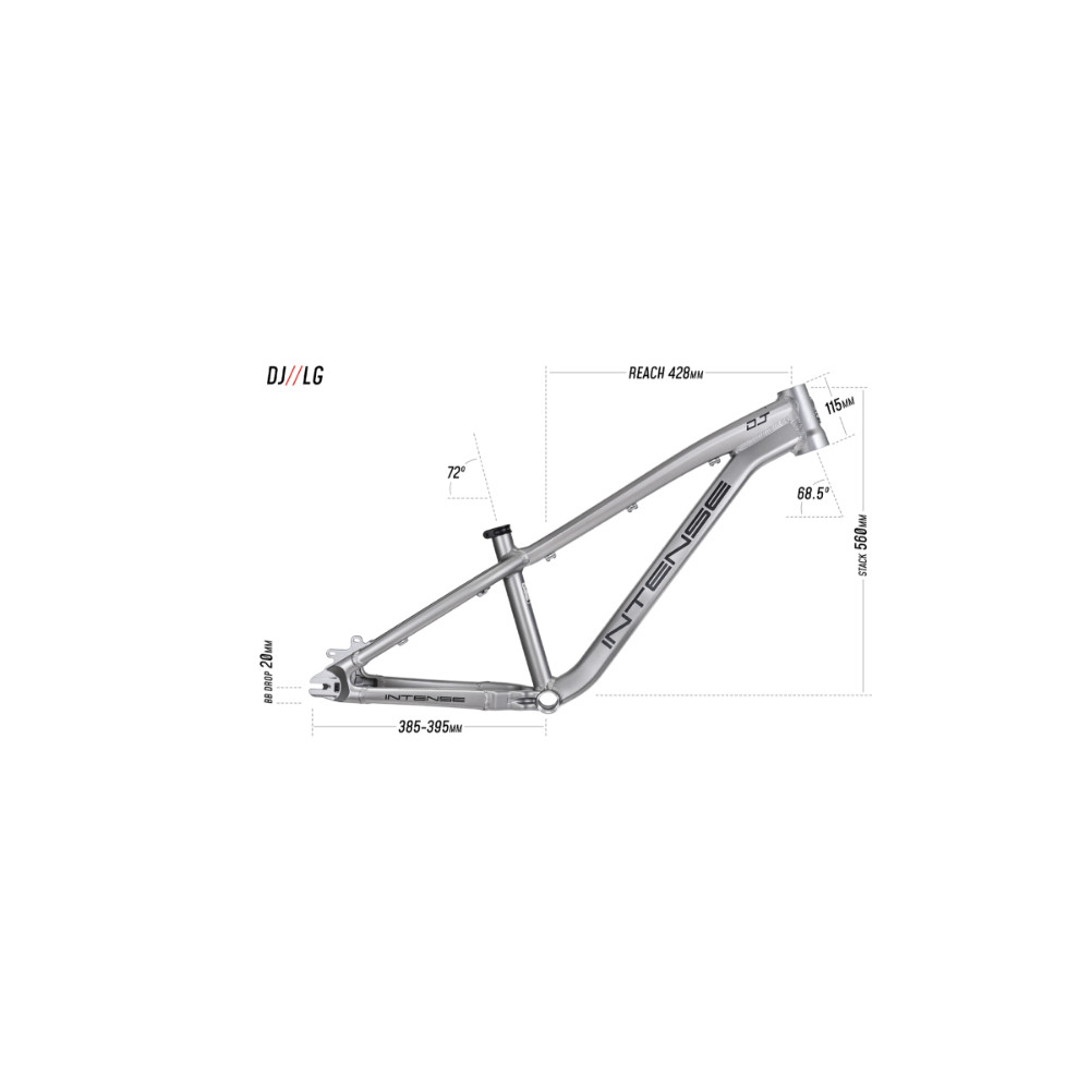 2025 Intense DJ Frame Titanium Gray | Revolutionbikeshop.com