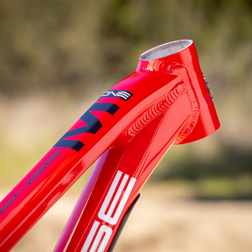 2025 Intense M1 Frame Red | Revolutionbikeshop.com