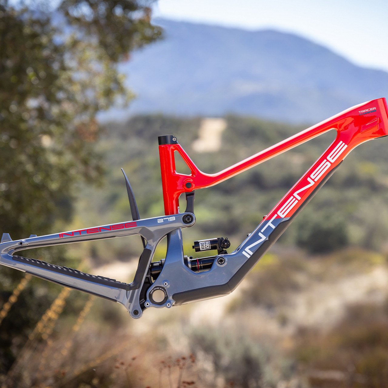 2025 Intense Tracer 279 Frame Red | Revolutionbikeshop.com