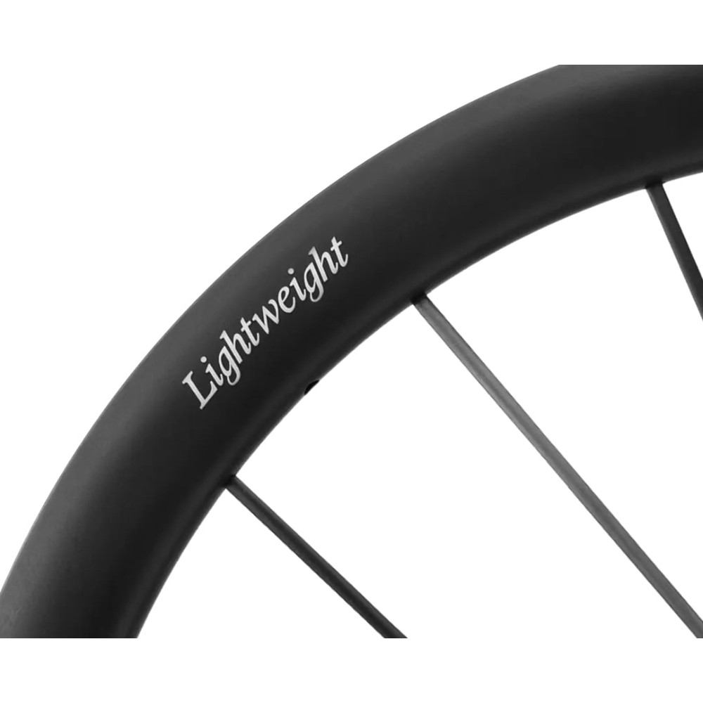 2025 Lightweight Meilenstein ART Disc Tubeless Wheelset