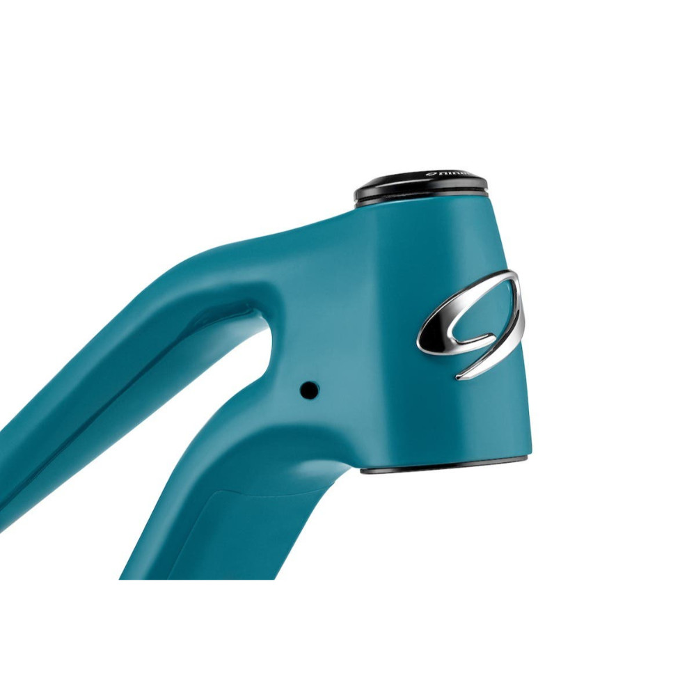 2026 Niner RIP 9 RDO V3.1 Fox Factory - Frame | RevolutionBikeShop.com