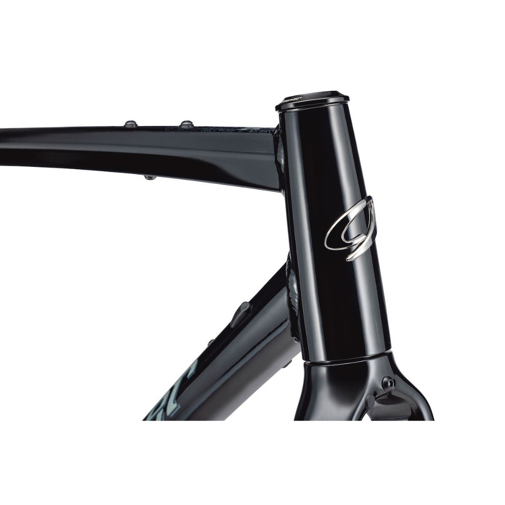2026 Niner RLT 9 Apex XPLR - Black/Avalanche Grey