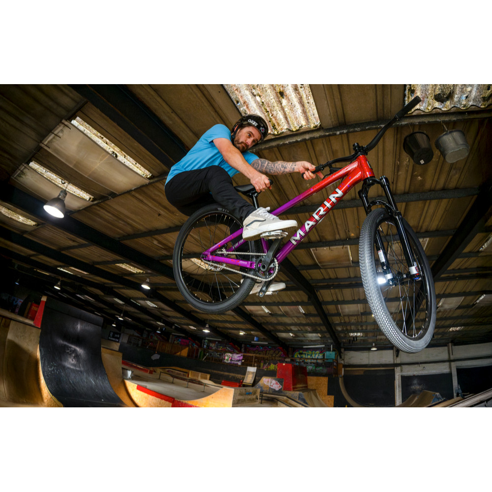 2026 Marin Alcatraz 2 - Red Purple | Revolutionbikeshop.com
