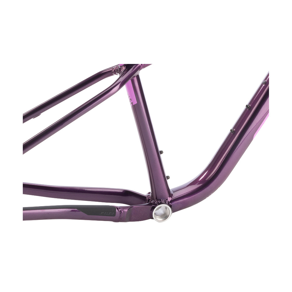 2026 Salsa Timberjack Frame - Deep Orchid | Revolutionbikeshop.com