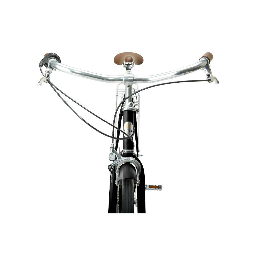 2026 Linus Roadster Sport 3i | RevolutionBikeShop.com