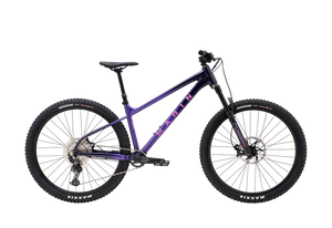 2026 Marin San Quentin 3 - Purple Fade image