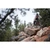 2027 Yeti SB135 image 6