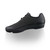 2026 Fizik Beat