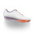 2026 Fizik Beat