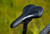 2026 Marin Bolinas Ridge 2 image 2