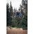 2026 Marin Alcatraz 1 - Blue Fade image 5