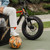 2026 Super73 Z Miami Special Edition image 16