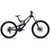 2026 Santa Cruz V10 DH X01 image