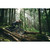 2026 Santa Cruz Vala 90 image 6