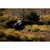 2026 Santa Cruz Tallboy XX AXS RSV image 4