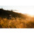 2026 Santa Cruz Tallboy Frame image 2
