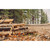 2025 Santa Cruz Highball FRAME image 2 2025 Santa Cruz Highball FRAME image 2