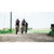 2025 Santa Cruz Stigmata APEX image 4 2025 Santa Cruz Stigmata APEX image 4
