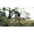 2025 Scott Spark RC Team Bike image 8 2025 Scott Spark RC Team Bike image 8