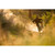 2027 Santa Cruz Vala XT DI2 RSV image 2