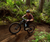 2026 Marin Alpine Trail E1 NA - Purple Fade image 1