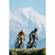2026 Cervelo R5 Frameset image 10