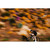 2027 Cervelo P 105 image 7
