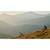 2027 Santa Cruz Nomad Deore image 6
